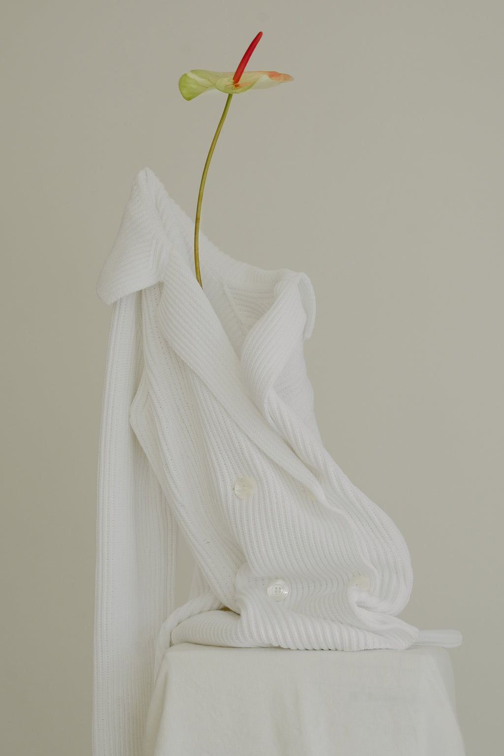 Fine Cotton Double Breasted Jacket